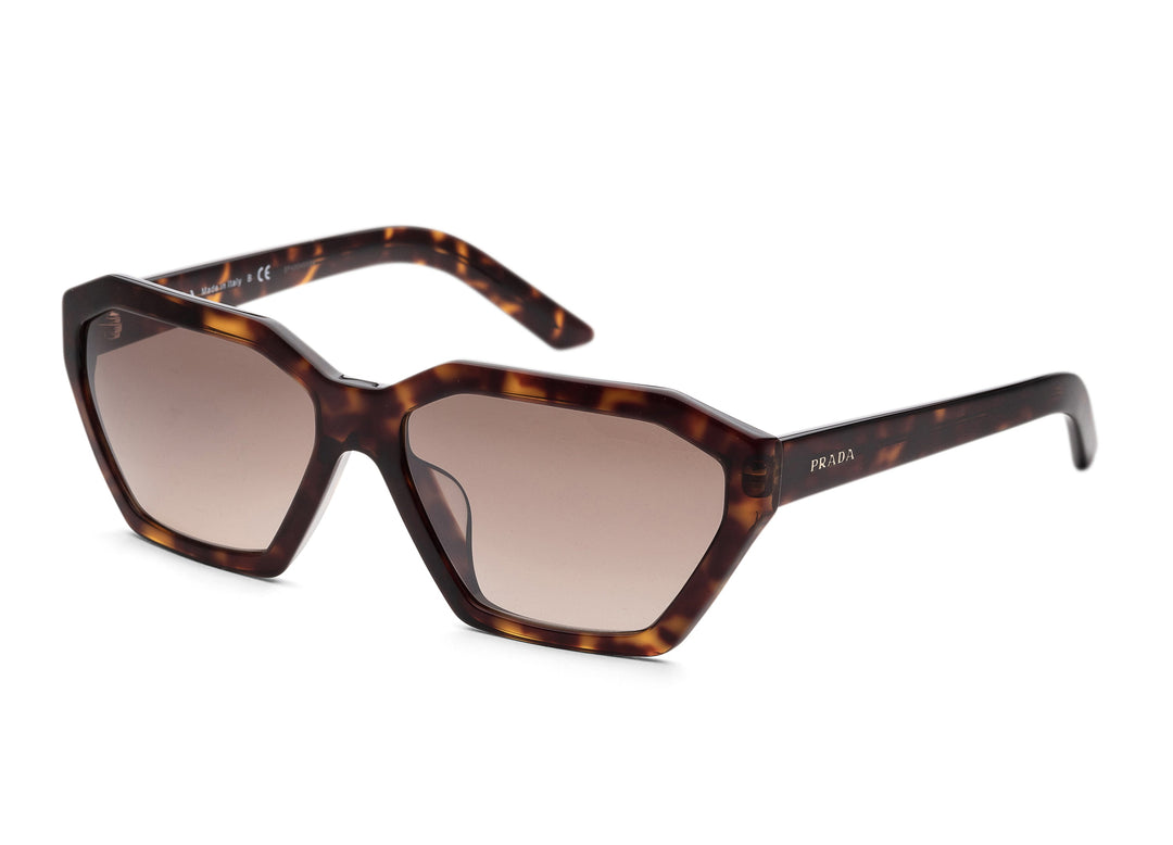 Fashion Havana Frame, Brown Lens |  Dial