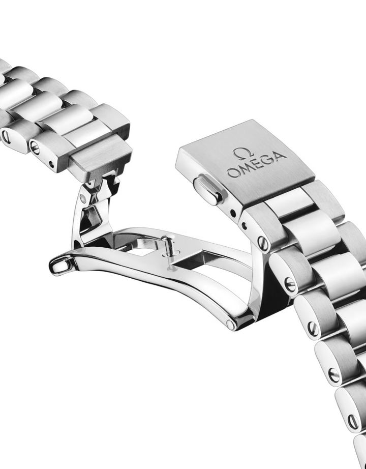Seamaster Railmaster 38mm Gray Dial