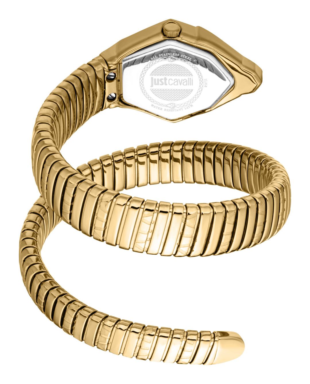 Snake 23mm / Silver / Gold | Silver Dial