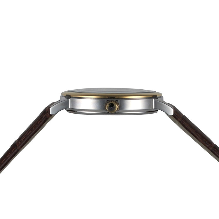 Lexington Series brown band/gold white | White Dial
