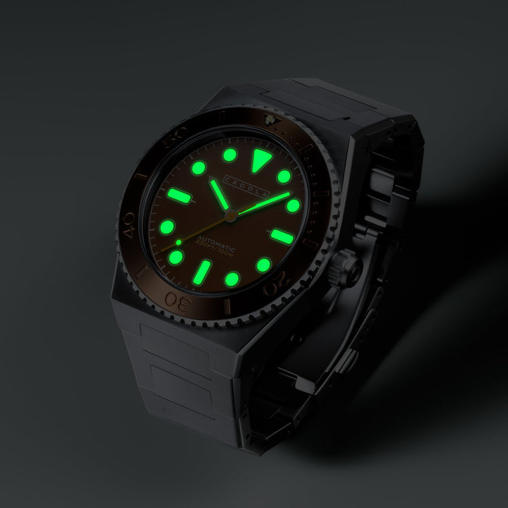 Farina Automatic Brown / Stainless Steel | Brown Dial